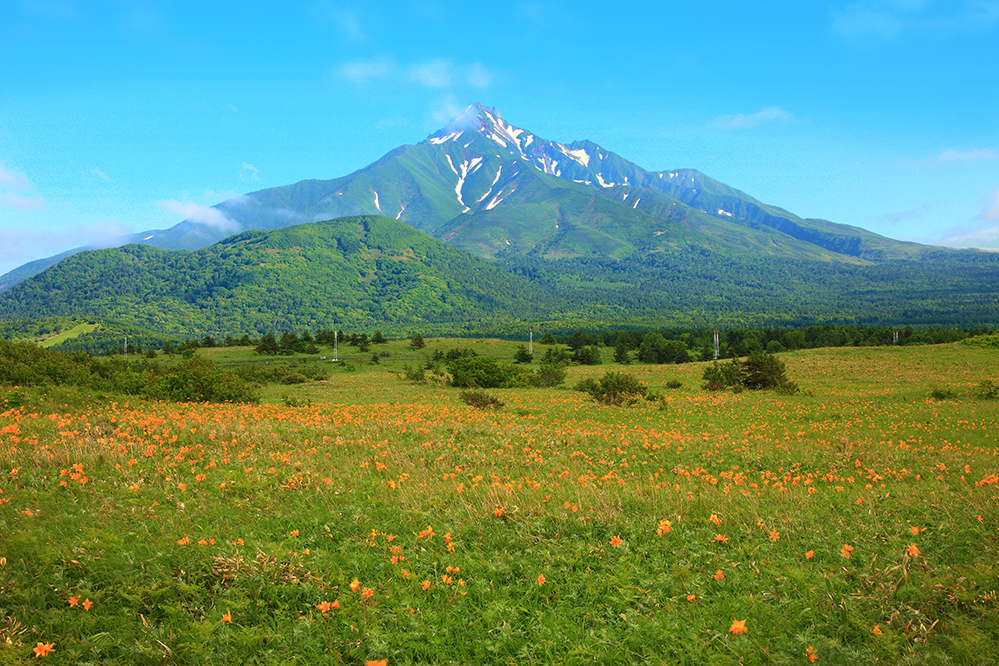Mount Rishiri's steep volcanic ridges tower over a field of wildflowers off the coast of Hokkaido, Japan (Photo by Seigo Yamamura/Aflo / Getty Images)